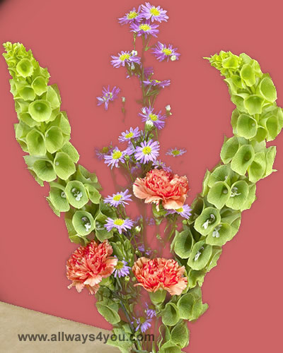 Allways4you.Com: Bouquets-Conserve,Wholesale flowers -646-208-9995 ny