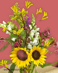 Bouquets-Carbon-Footprint Flowers
