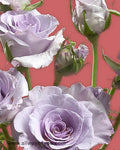 Spray Rose Little Silver Flowers