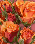 Spray Rose Mambo Flowers