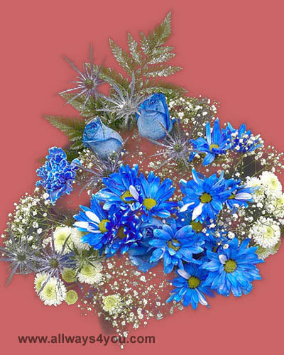 Bouquets Menorah Flowers