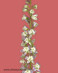 Delphinium Trick Purple Flowers