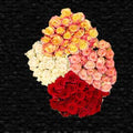 Wholesale Roses 100 stems mixed Colors