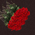 Red Roses,Wholesale in bulk ( Russian Cut Big Heads)