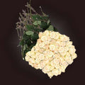 white,roses wholesale-buy in bulk fresh