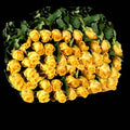 wholesale-buy in bulk fresh Cut yellow roses